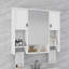 Armoire à pharmacie à miroir fixée au mur l 35 po H 28,7 po Rohin-97894749