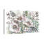 Coquelicots blancs et eucalyptus III - reproduction d'art sur toile tendue-26358526