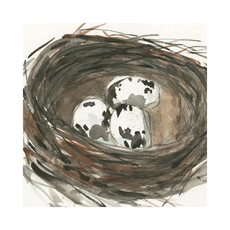 Nesting Eggs I by Samuel Dixon - Wrapped Canvas Painting, 45.72 cm H x 45.72 cm W