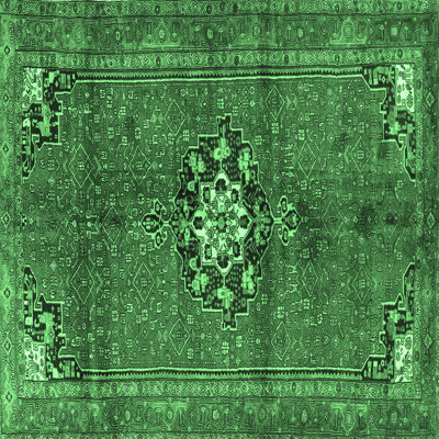 Oriental Indoor Rug