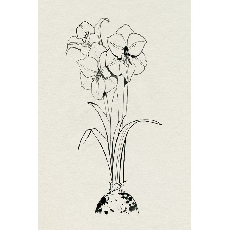 Christmas Amaryllis II by Grace Popp - Wrapped Canvas Painting, 46cm H x 30cm W x 3.8cm D
