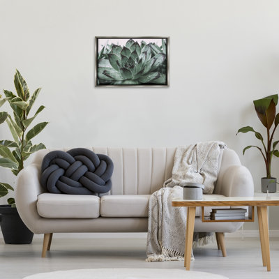 Succulent with Rain Droplets Gray Framed Floater Canvas by Jennifer Rigsby