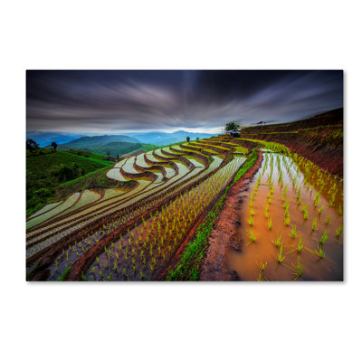 « non visible riz field », reproduction de photo sur toile tendue