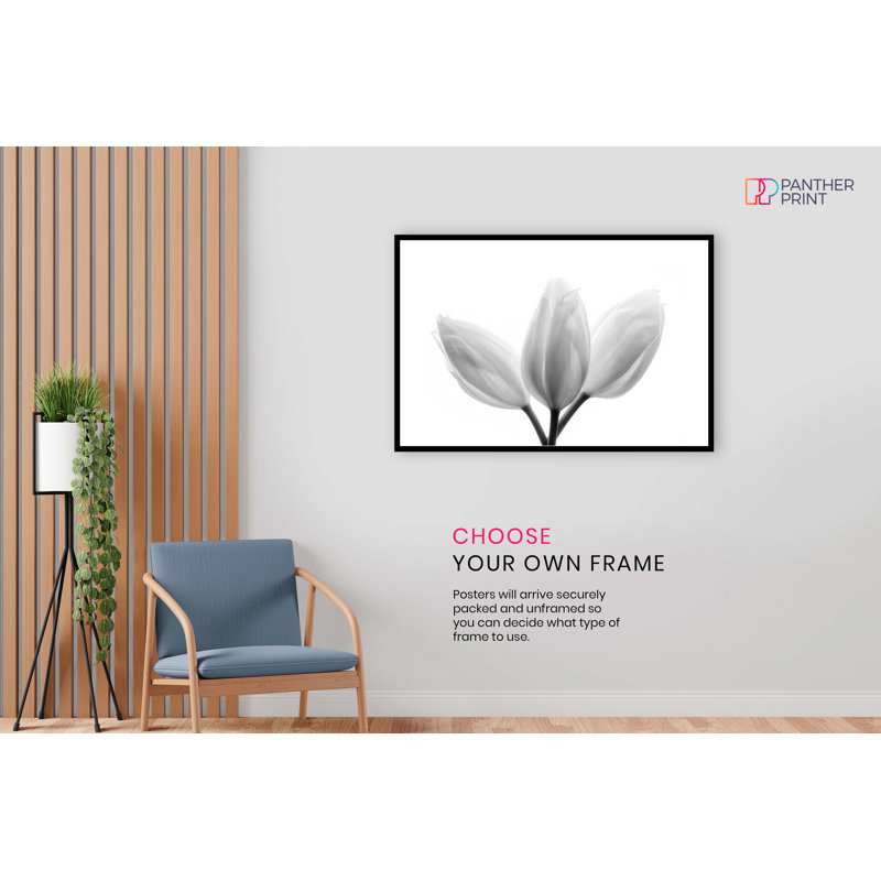 Bright White Tulip Flowers - No Frame Print, 46cm H x 31cm W