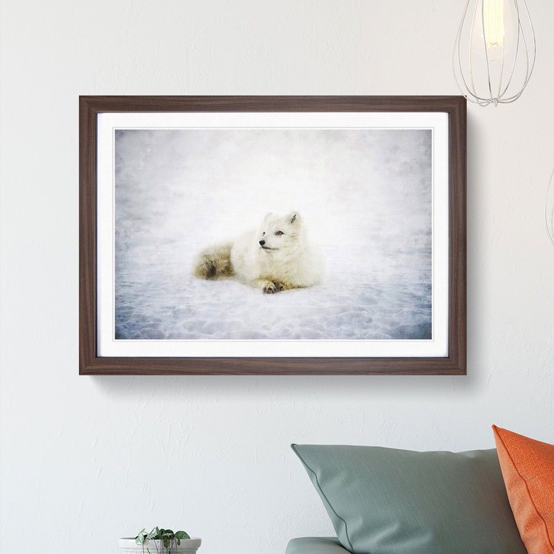 Resting Arctic Fox - Framed Print, 33cm H x 45cm W x 2cm D, Walnut Framed
