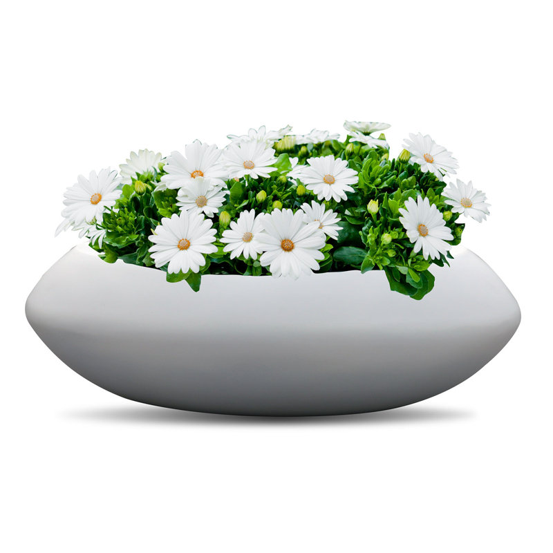 Deberry Handmade Pot Planter, White