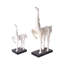 Statue avec base cheval-sabot-49455492-49397538