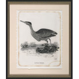 Little Heron Painting