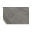 Area Rug in Light Green/Gray