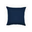Iconic Leopard I/O Pillow-40913222