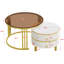 Aveanna Coffee Table with Storage-1499699059-1534772769