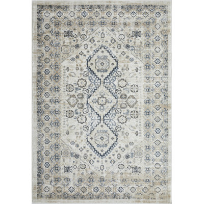 Aldolivio Oriental Indoor Rug