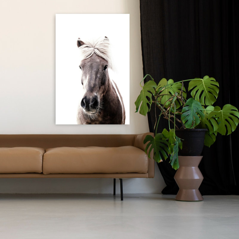 Islande, cheval, Lucy, élégant cheval minimaliste pacifique, art mural