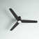 Ameeyah 52'' Ceiling Fan with LED Lights