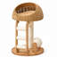 Arbre à chat compact en bois avec lit panier tressé, poteau à griffer en sisal, échelle d'escalade et boule à gratter