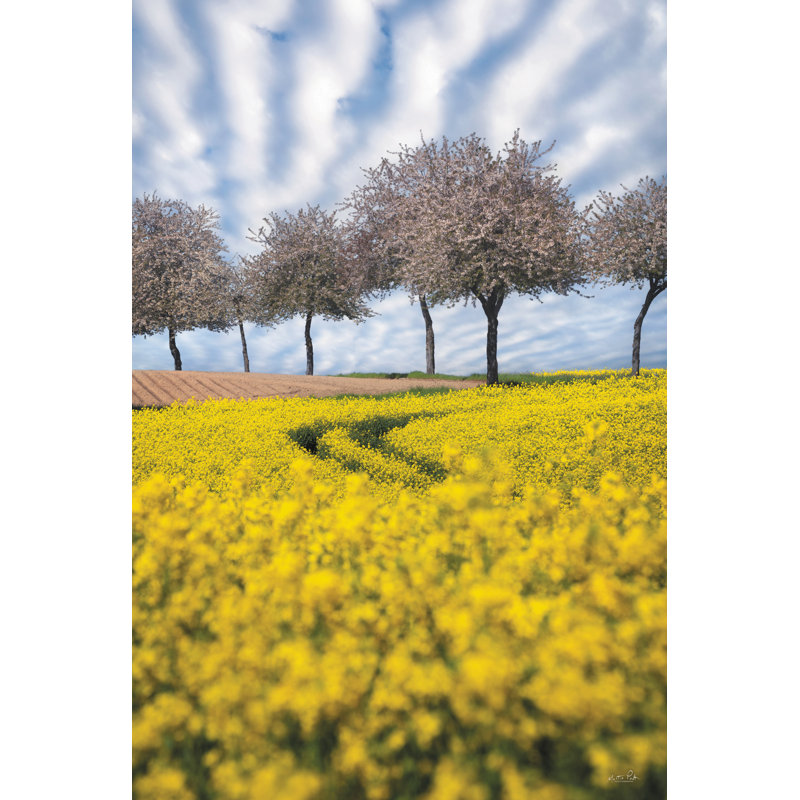 «Spring Dreams On Canvas» par Martin Podt, reproduction, H 30 po x l 20 po x P 1,25 po