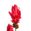 Artificial Plant PURPURATA 130 cm Red