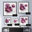 « my magenta ii », impression encadrée-1008126445