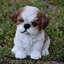 Statue de chiot Shih Tzu assis-16443397