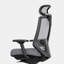 Ergonomic Chair Pro-2140169278-2140169277