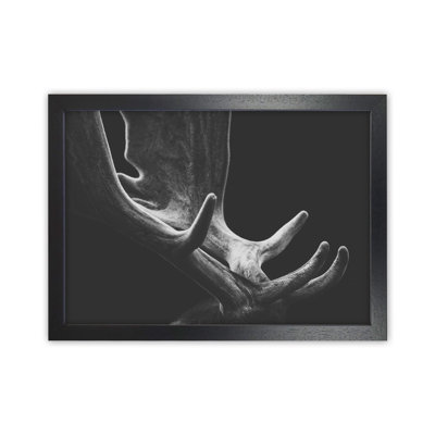 Antlers by Victoria Frost - Print