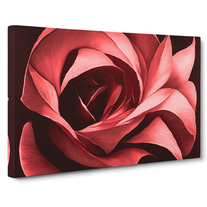 Desirable Rose Flower - Wrapped Canvas, 35cm H x 50cm W x 3cm D