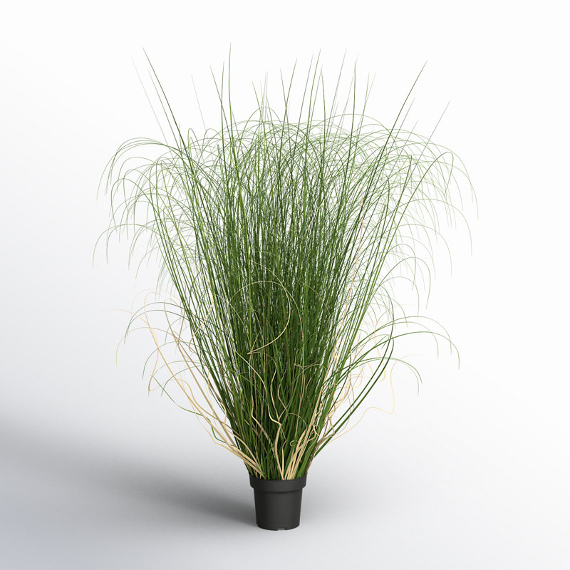 Kellan PVC Artificial Potted Green Curled Grass, 60" H x 30" W x 30" D