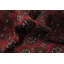 Geometric Wool Red Oriental Afghan Area Rug 10x13