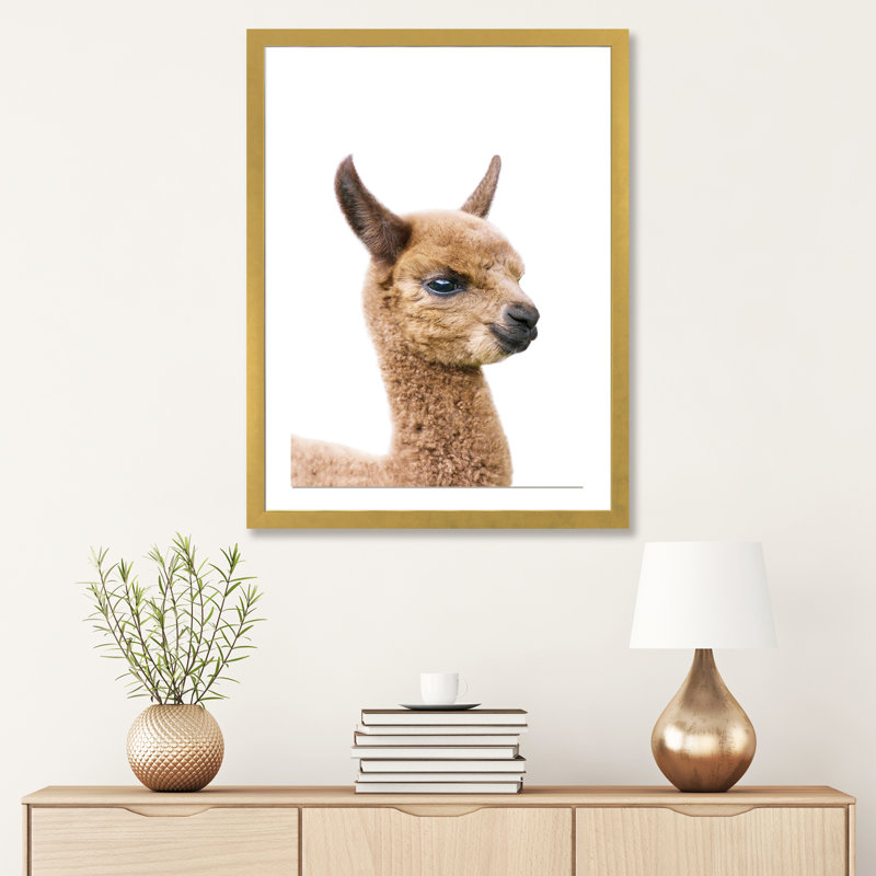 «Baby Llama» par Sissi & Seb - reproduction de photo, H 32 po x l 24 po x P 1 po, Blanc, Papier encadré doré