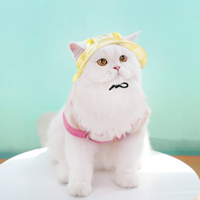 Cat hat Pet Dog And Cats Sunshade Hat And Ear Protection Adjustable Rope Buckle Fisherman Hat Pet Supplies