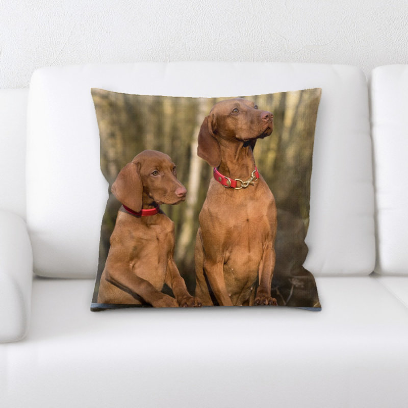 Coussin pour chien