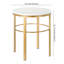 Cineraria End Table-1202991891