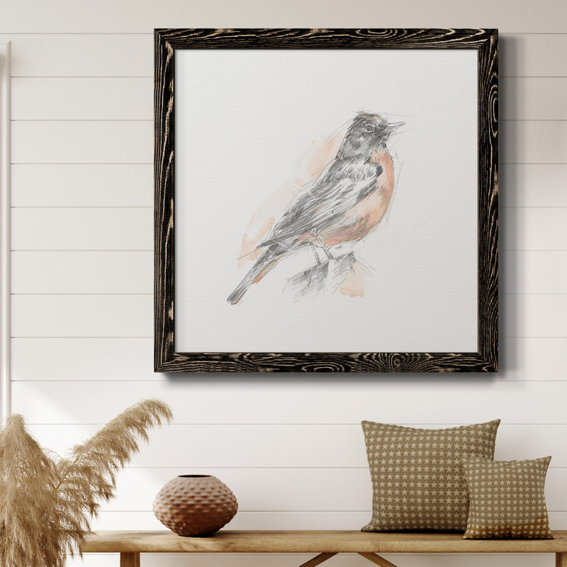 Robin des bois croquis I-Premium, toile encadrée - prête à être accrochée, Cadre noir, H 17 po x l 17 po x P 1,5 po