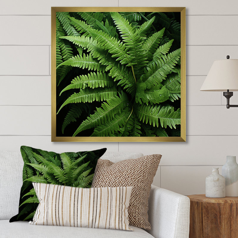 «Green Fern Forest Beauty I - Ferns», art mural, Silver Picture Framed, H 30 po x l 30 po x P 1,5 po