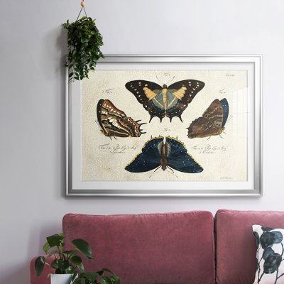 «Crackled Butterflies IV», reproduction d'art encadrée