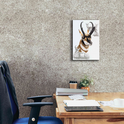 "Pronghorn" par Barbara Keith