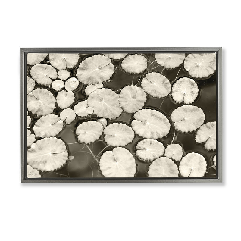 Cadre flottant blanc avec nénuphars, design par Lori Deiter, H 21 po x l 31 po, Cadre flottant gris lustré