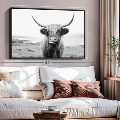 Animal «Vache Highland»