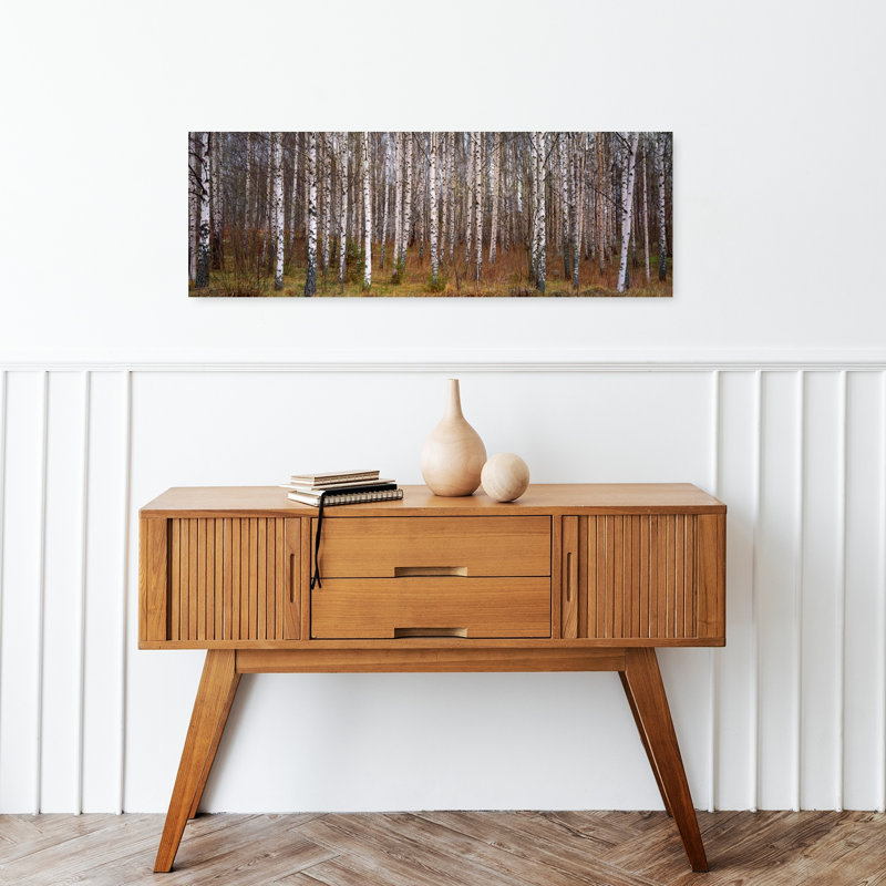Bouleaux argentés dans une forêt, Narke, Suède, art contemporain abstrait au printemps, forêt de bouleaux, H 12 po x l 36 po