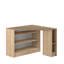 Saltz Corner Writing Desk