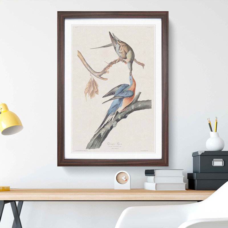 Passenger Pigeons by John Audubon - Framed Print, 65cm H x 48cm W x 2cm D, Walnut Framed