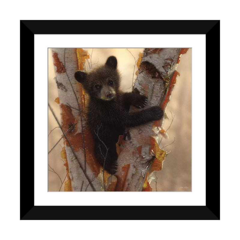Curieux ours noir I, carré, H 16 po x l 16 po x P 1 po, Papier beaux-arts encadré noir