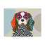 «Cavalier King Charles Spaniel» par Buckey, impression sur toile tendue-27487600