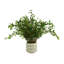 Organic Modern Smilax Arranged in Round Ribbed Ceramic Vase