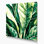 "Watercolor Botanical 41", art mural sur toile verte