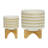 Wavy Pattern Outdoor Planters on Stand for Indoor Home Decor - Modern Ceramic Flower Pots Accent for Living Room or Patio - Set of 2, 11", 7", White & Tan