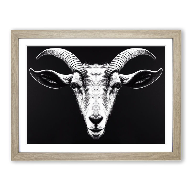 Goat Portrait Vol.3 - Framed Print