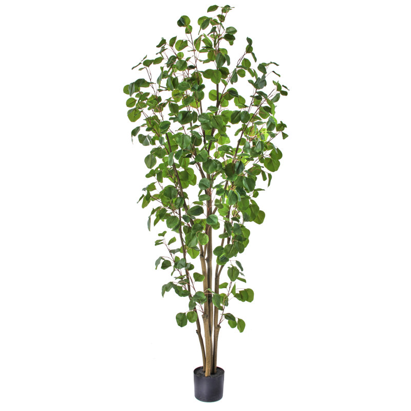 Faux Eucalyptus Tree in Pot, 72" H x 12" W x 12" D
