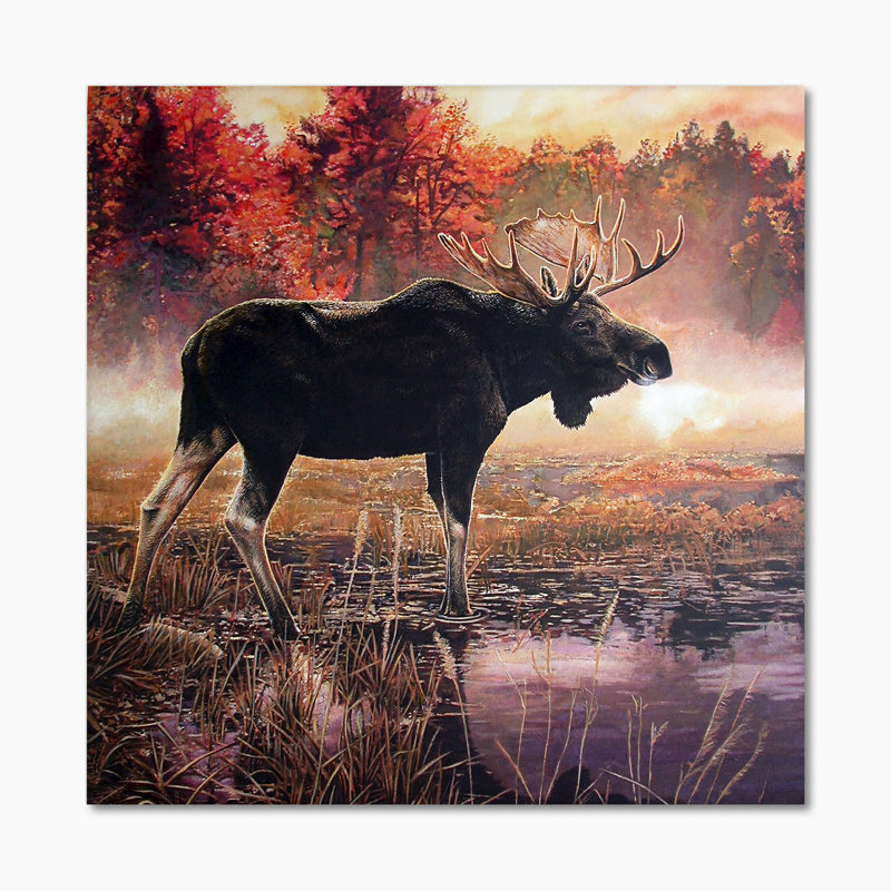 Faune sauvage dans le parc national Lake - on, H 16 po x l 16 po x P 1 po, Toile tendue