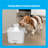 Premier Pet Pet Fountain 60 oz.